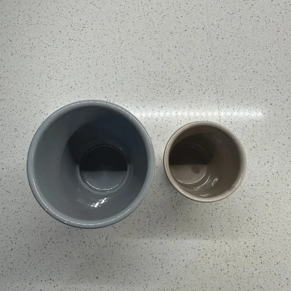 Mini Flower Pots - Set of 2